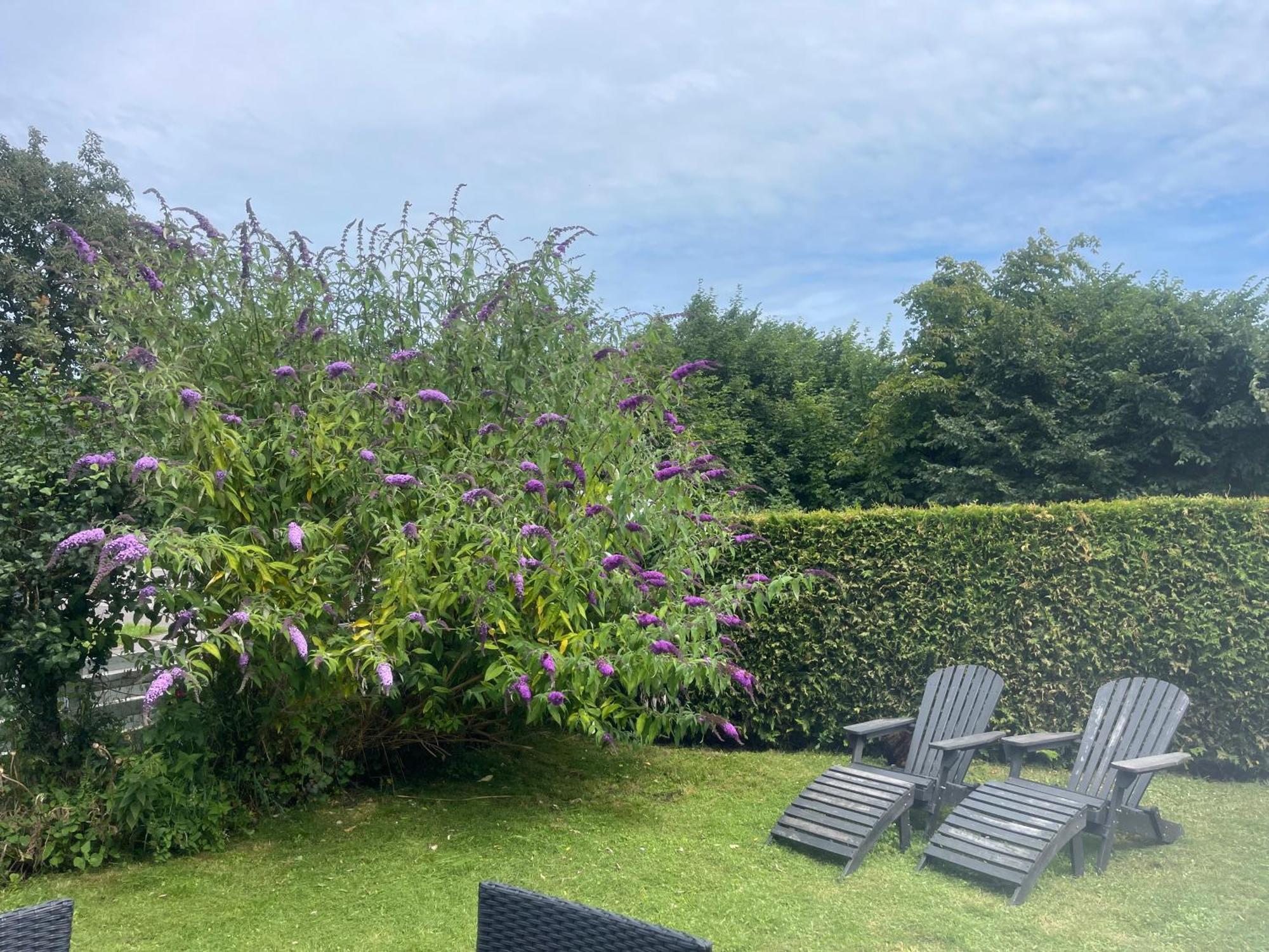 Heidis Residence-Sandkaas, Bornholm Allinge-Sandvig Esterno foto
